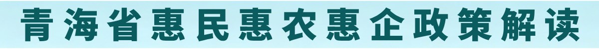 惠民惠农惠企政策